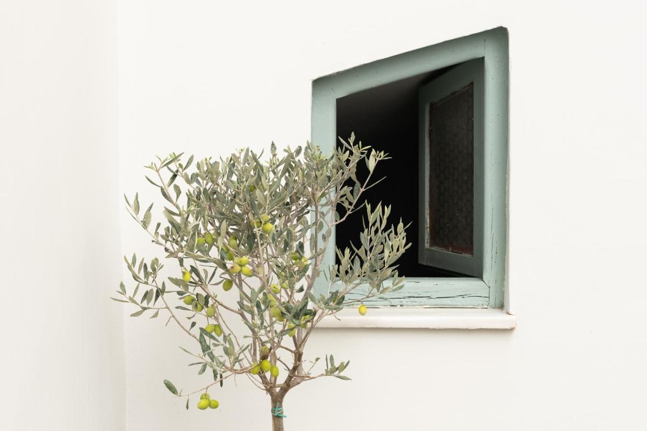 Central5 Boutique Apartments With Common Garden Next To Metro Athena Bagian luar foto